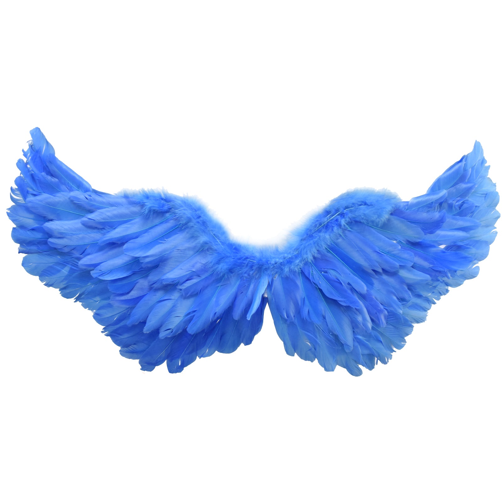 Rio Blue Cosplay Costume Blue Bird Costume Stunning Halloween Outfit Accosplay