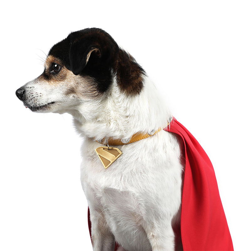 Dog Superman Cosplay Costumes Halloween Suit ACcosplay