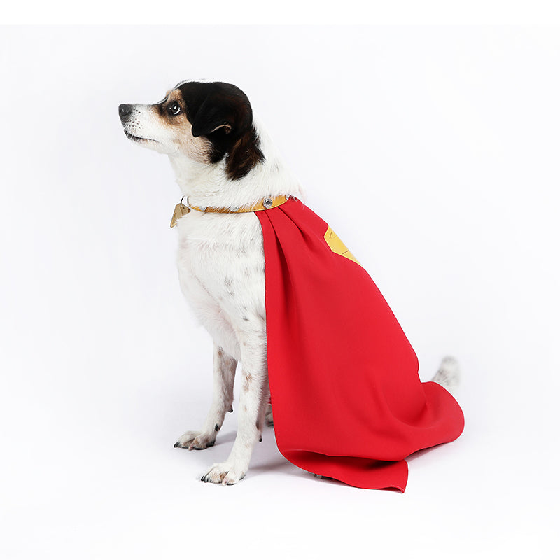 Dog Superman Cosplay Costumes Halloween Suit ACcosplay