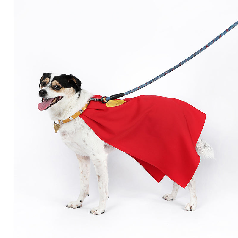 Dog Superman Cosplay Costumes Halloween Suit ACcosplay