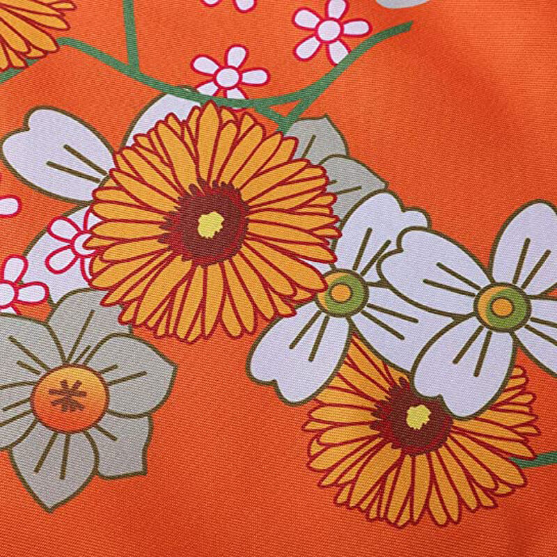 Danganronpa 2 Hiyoko Saionji Kimono Cosplay Costume