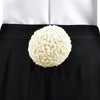 One Piece Pirate Warriors 4 Carrot Cosplay Costume - ACcosplay